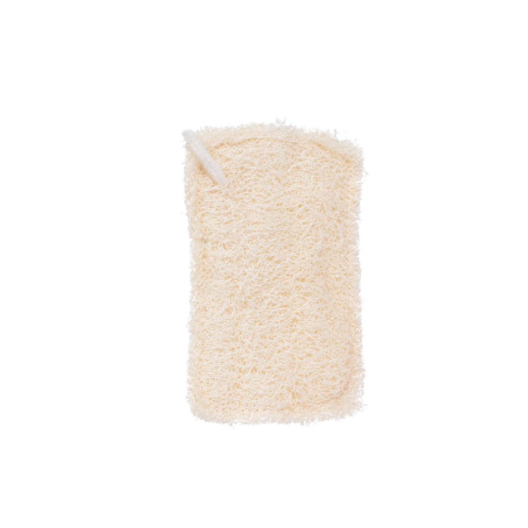  Loofah Sponge (3x)