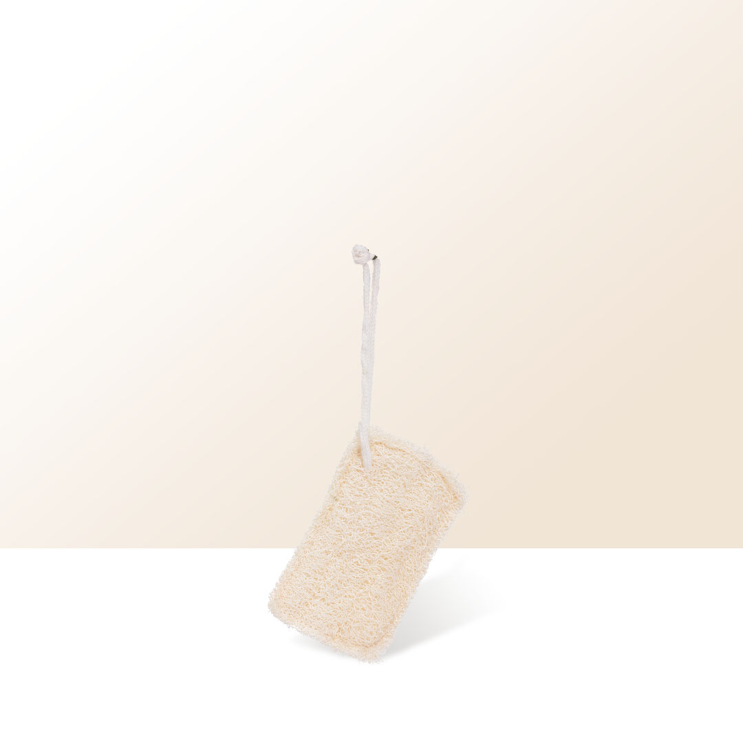  Loofah Sponge (3x)