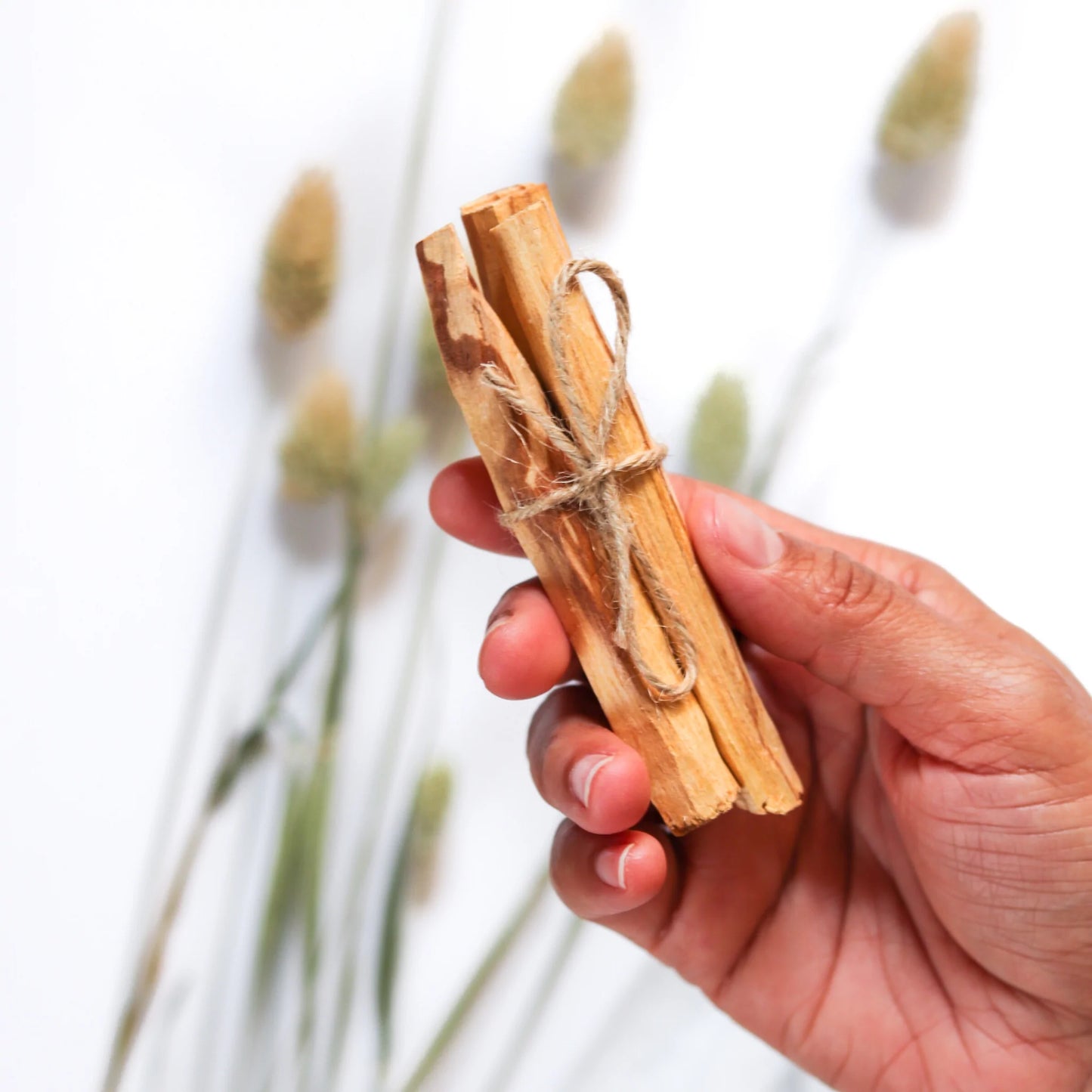 Palo Santo sticks