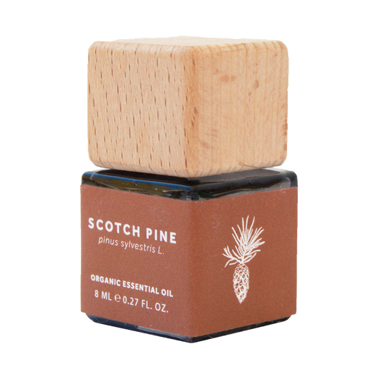 SCOTCH PINE ESSENTIAL OIL - BIO SCENTS